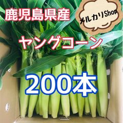 ひろっちゃんちの野菜 ＊はなこ - メルカリShops