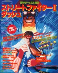 劇場用　ストリートファイターⅡ　宣伝用　ポスター　B2サイズ　篠原涼子 Amazon.co.jp: 篠原涼子 with t.komuro : 【Amazon.co.jp限定