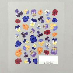 Item thumbnail for item ac2c4fca-17a6-425b-b508-d2b82b73113c