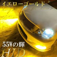 H8 H11 H16 H9 HIDキット12V バラスト 55W ヘッドライト フォグランプ 3000k 6000k 8000k 12000k イエローゴールド ホワイト 保証付 明るさUP 2個 LEDよりHIDの力強い明るさ Radies SK