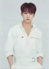 【中古】クリアファイル(男性アイドル) ホシ A4クリアファイル 「SEVENTEEN WORLD TOUR ＜ODE TO YOU＞ IN JAPAN」