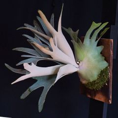 4HSWERMQdRk3eTh7s7yC5k.jpg@jpg