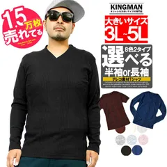 【新品】 【2L～5L ブラック(長袖)】 Tシャツ メンズ 大きいサイズ Vネック 長袖 無地 テレコ素材 白 黒 青 赤 春 長袖Tシャツ おしゃれ コットン 安い ワークマン プラス