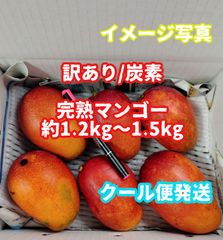 訳あり11】約5kg 完熟 ミニマンゴー、ミニミニマンゴー《農家