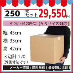 最安値挑戦中】ダンボール　１２０サイズ４５０ｘ３３０ｘ４２０（Ａ３対応）２５０枚セット