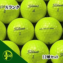 ロストボール タイトリスト Titleist PRO V1 2025年 イエロー 12球 【Aランク】 ゴルフボール