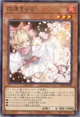 灰流うらら TTP1-JP078 【レア】 TACTICAL-TRY PACK －黒魔導・ＨＥＲＯ・御巫－ 遊戯王　トレカ道