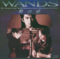 WANDS 上杉昇 下敷き レトロ WANDS 上杉昇 下敷き レトロ - メルカリ