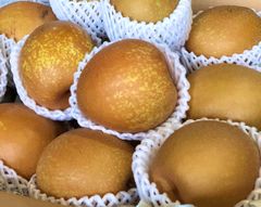王秋　和梨　秋田県産　家庭用　箱込約3.5kg