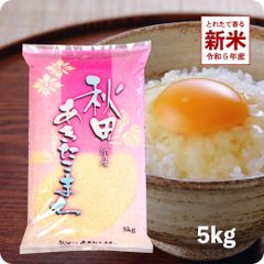 新米 秋田県産あきたこまち5kg お米 令和５年産 白米