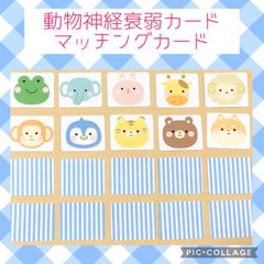 動物カード　神経衰弱　モンテッソーリ  マッチングカード　おうち遊び