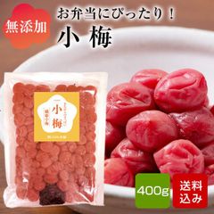 小梅 400g お弁当用の梅干し 無添加 無着色 すっぱい梅干し しそ梅干し 九州産