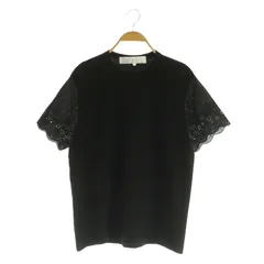 美品✨タオコムデギャルソン ラグランTシャツ いちご AD2009 水色 TAO COMME des GARCONS 美品 24SS tao タオ コムデギャルソン 綿