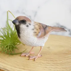 BIRDIE BILL リアルな「スズメ」のオブジェ  マグネット内臓 / 置物 鳥 とり トリ インテリア雑貨 クリップホルダー