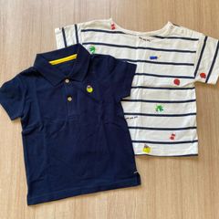 【中古】インセクトコレクション　ポロシャツ＆TシャツM（100〜110）