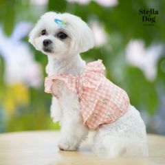 【閉店セール全品半額】チェリー&チェック柄ショートトップス さくらんぼ　サーモンピンク 夏物　犬服