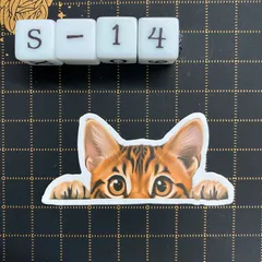 防水ステッカー　ベンガル　覗き猫・犬　デコレーション　水彩画風　S-14