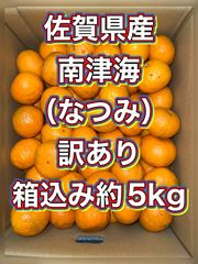 北海道沖縄離島追加送料無し 佐賀県産みかん なつみ（南津海）箱込み約5kg