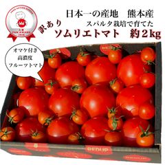 B,受賞歴３回！訳ありソムリエトマト箱込み2kg（8玉～16玉)
