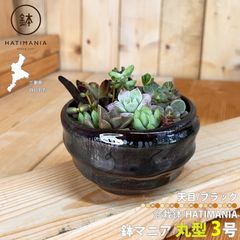 HATIMANIA 盆栽鉢 3号 1006W 鉢マニア 天目 鉢づくし ミニ盆栽 多肉植物 エケベリア セダム 植木 穴あき 観葉直物 土植え 丸型 プレゼント ミニ盆栽 Sサイズ インテリア サボテン 母の日 円形 鉢植え 区分60Y TM104-3