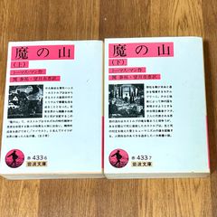 魔の山　上下巻セット トーマス・マン作 関 泰祐・望月市恵訳