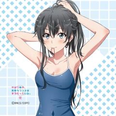 [중고] 잡화 유키노시타 유키노(스쿨 수영복) 신작 핸드타올 [역시 내 청춘 러브 쌀은 잘못되어 있다. 완]