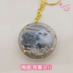 【１点限り】【おまけ付き】レジンキーホルダー  両面写真入り ハンドメイド ハムスターといっしょ こきち♂&みるく♀ 初デートで突然フリーズバージョン