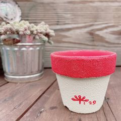 リメ鉢　2.5号　リメイク鉢　waikaのリメ鉢