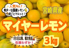 【在庫わずか❣️】マイヤーレモン3㎏/レモン　国産レモン　みかん　きんかん