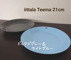 iittala ティーマ プレート 21cm  2枚セット