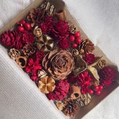 ドライフラワー　ドライナッツ  木の実詰め合わせ セットˎˊ˗  レッド　ゴールド　ブラウン　クリスマスレッド　クリスマス　クリスマスミックス　ナチュラルクリスマス No.109