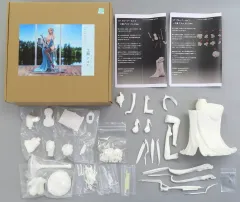 硫黄泉 一之瀬アスナ１／７ レジンキット　ガレージキット 硫黄泉 一之瀬アスナ1／7 レジンキット ガレージキット 硫黄泉