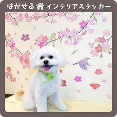 さくら咲く  はがせる 壁シール 壁紙シール 壁紙 壁 ステッカー シール 壁ステッカー ウォールステッカー インテリア 和柄 イベント ひな祭り 桜 春