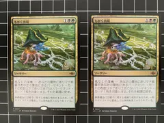 マジック大戦祭 宝石の洞窟 箔押し プレイマット 上位 top8 FOIL】MTG Playmat BLC Liliana of the Dark Realms【BIGWEB