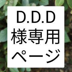 バラ  アバランチェ  60センチ30本❨生花 切り花 花束❩