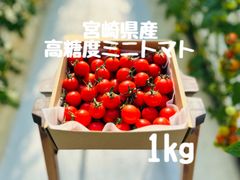 宮崎県産高糖度ミニトマト 1kg