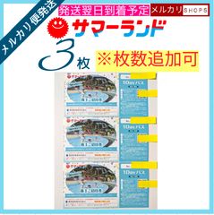 東京サマーランド 1DAYパス 株主ご招待券 4枚 - メルカリ