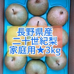 長野県産★二十世紀梨★家庭用★3kg