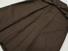 Item thumbnail for item 21f27387-848c-4565-b3c1-2851faa87cd3