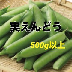 うすい実えんどう500g以上‼️農家直送で新鮮採りたて‼️のサムネイル
