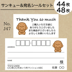 Thank you×宛名シールセット　プードルNO.J47