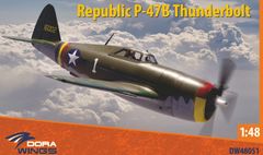 ダイキャスト戦闘機 P-47 サンダーボルト 1/48 ITALY CDC社製 - メルカリ