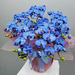 胡蝶蘭S/5F/ブルー（造花）高約50×幅40　光触媒コーティング