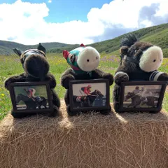 激レア　3体セット　第111回天皇賞　ライスシャワー　第24回高松宮杯　ナイスネイチャ　第19回エリザベス女王杯　ヒシアマゾン　ぬいぐるみ　馬　ウマ　競走馬　サラブレッド