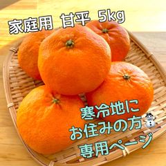 愛媛県産　家庭用　甘平　5kg