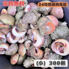 2025年最新】冷凍 釣り餌 石鯛の人気アイテム - メルカリ