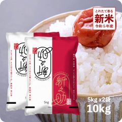 【200円OFFクーポン配布中】新米 新之助10kg お米 10キロ 令和5年産 白米