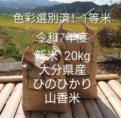 まもなく終了！色彩選別済み！1等米 20Kg 大分県産 ひのひかり 山香米 