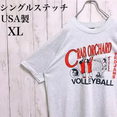 90s FRUIT OF THE LOOM USA製 Tシャツ XL 半袖メンズ