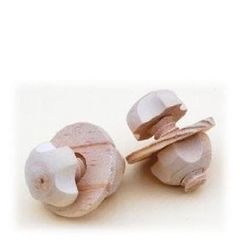 Item thumbnail for item 16c170b2-c50b-4370-9cac-39dc97ea9e5f